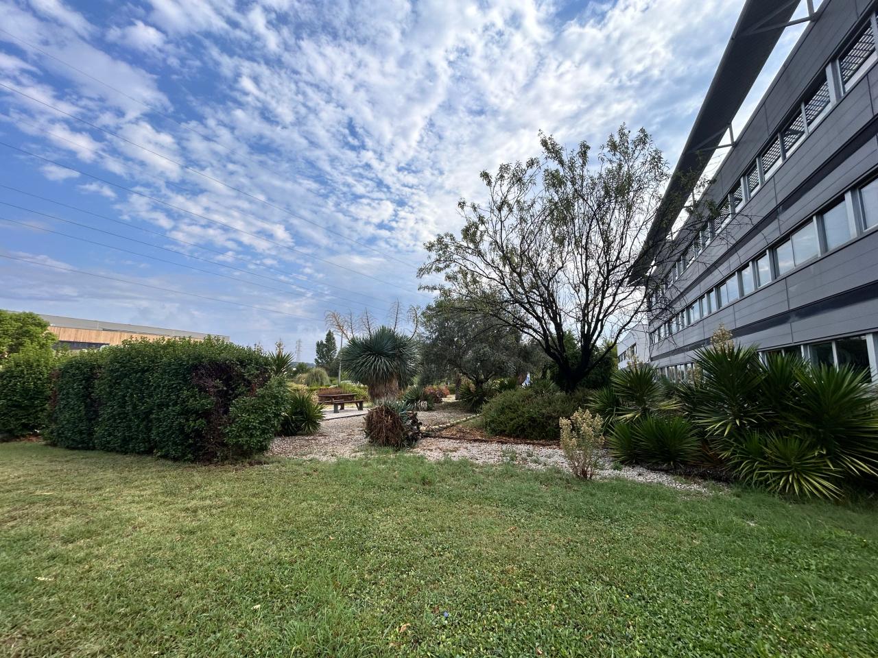 Location coworking Castelnau-le-Lez Hérault OLBUR2534449 1