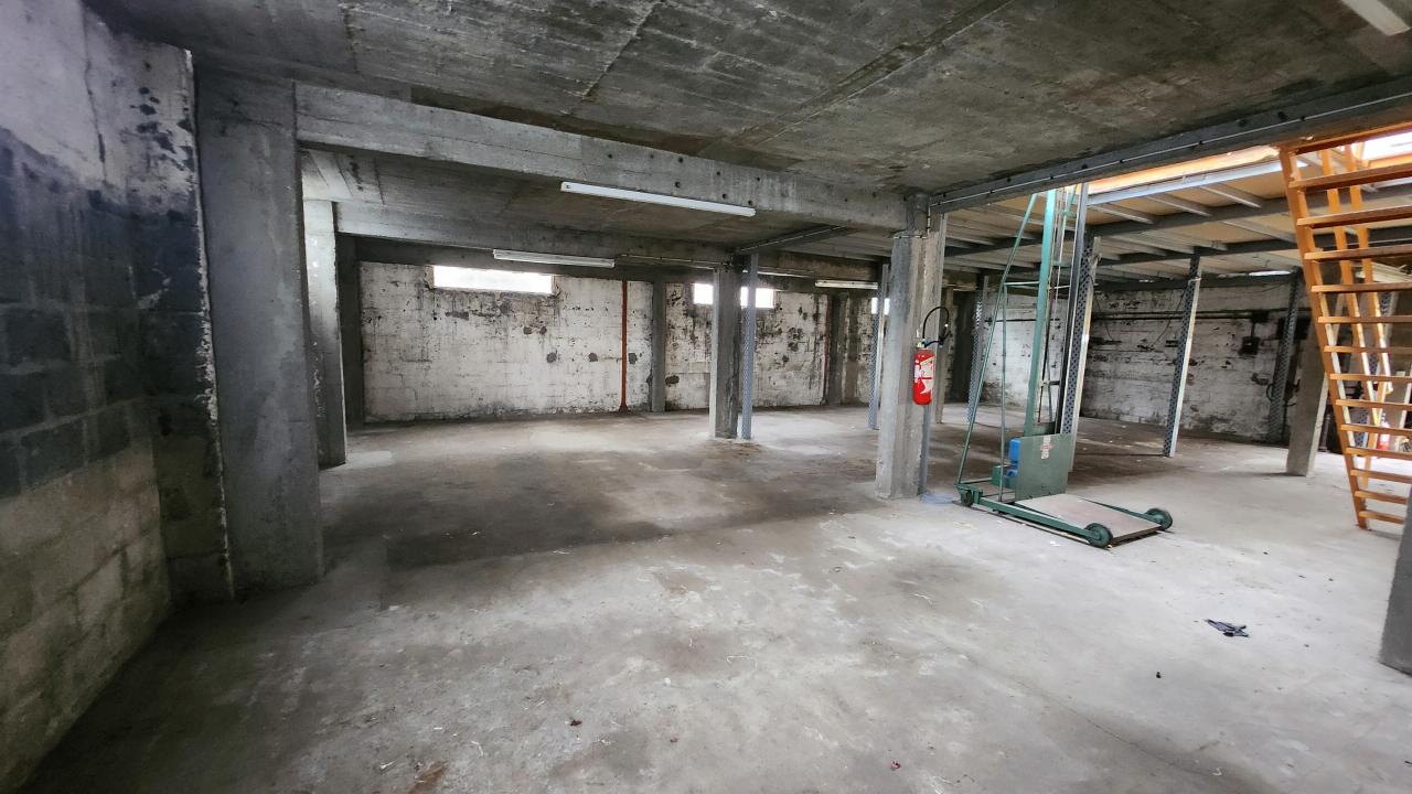 Vente local d'activité Maisons-Alfort Val-de-Marne OVACT2529735