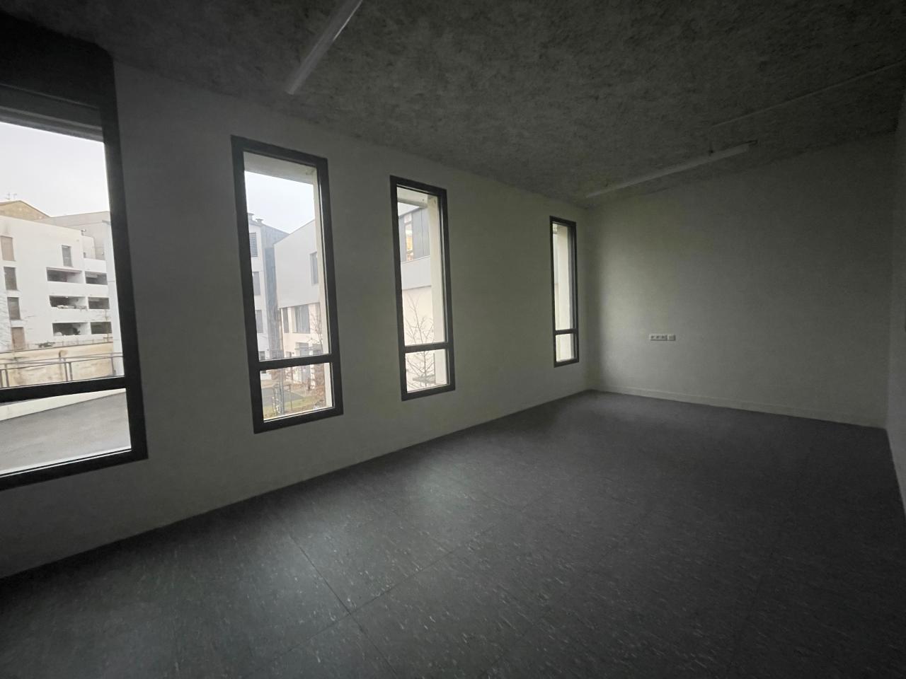 Location local d'activité Lyon Rhône OLACT2529054 9