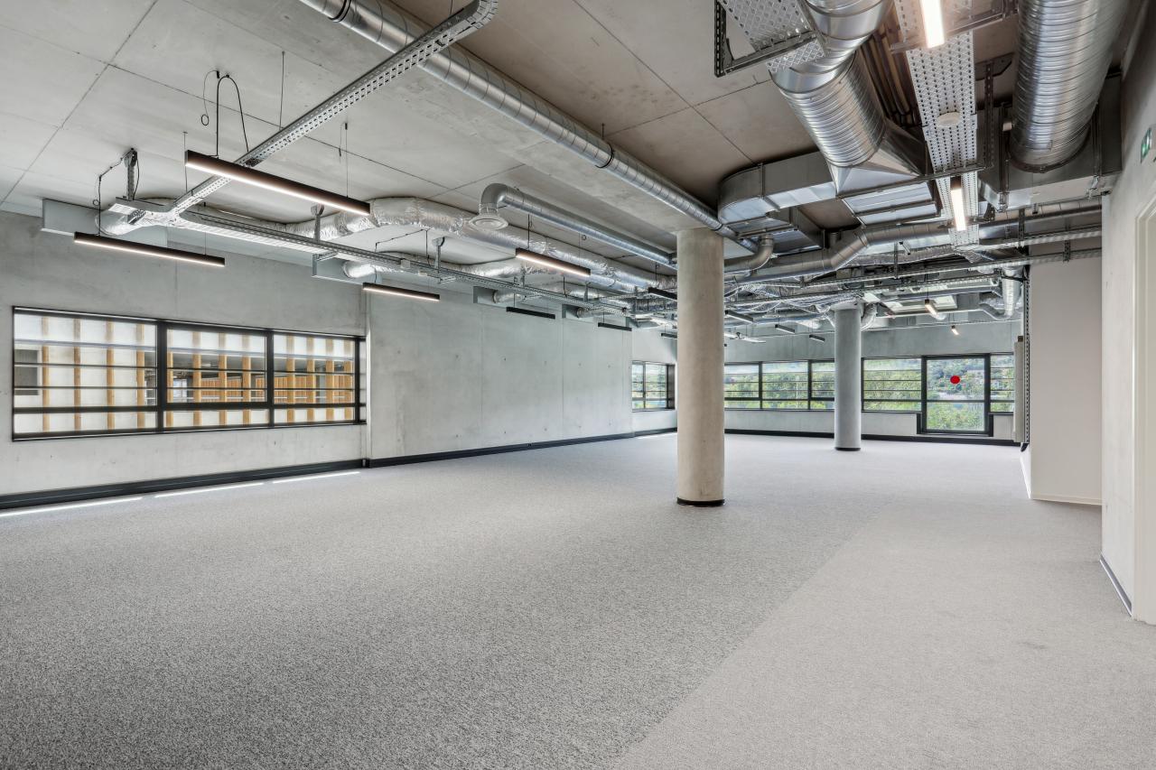 Location bureau Nice Alpes-Maritimes OLBUR2311500 10