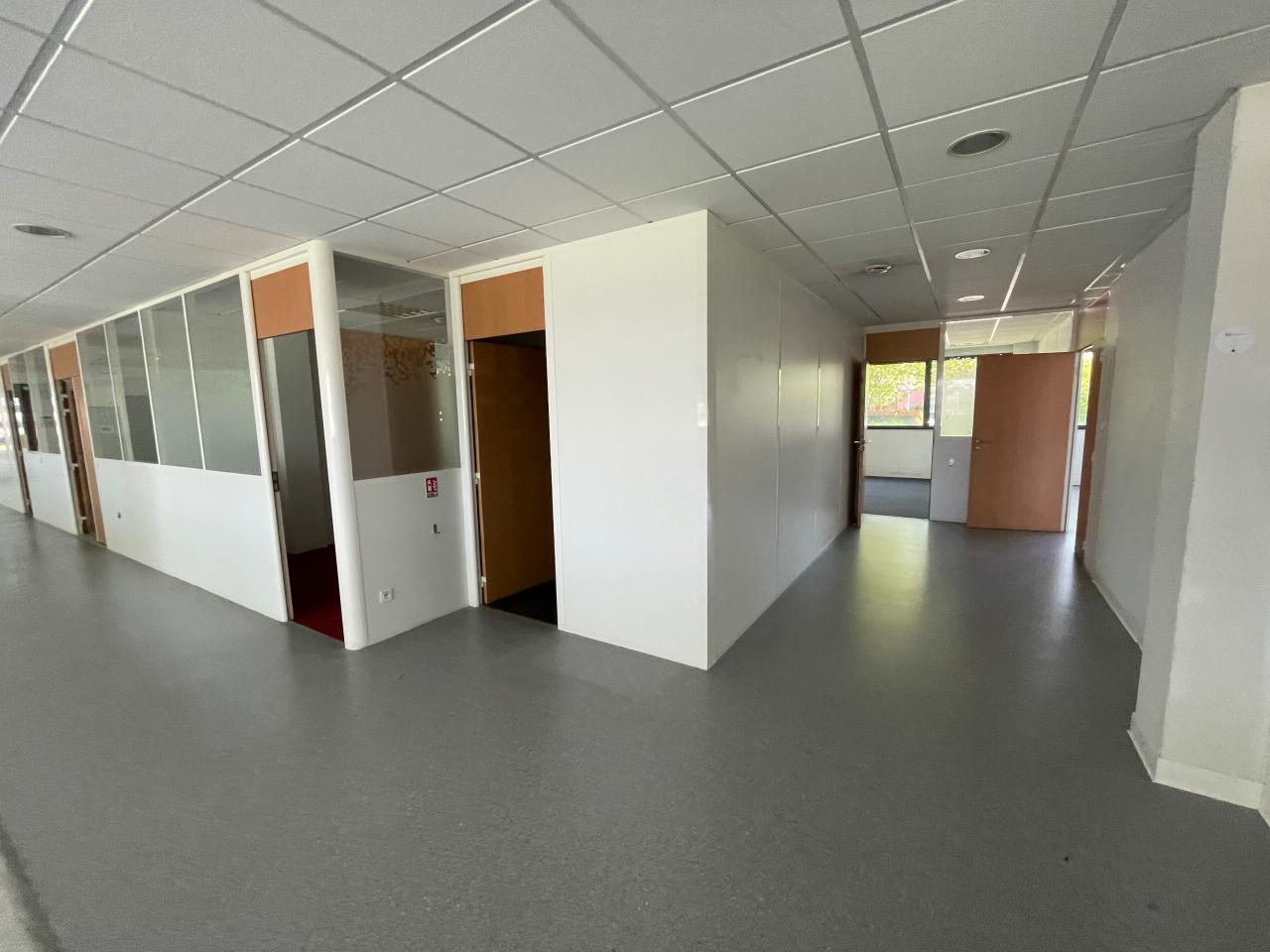 Location local d'activité Toulouse Haute-Garonne OLACT2535972 6