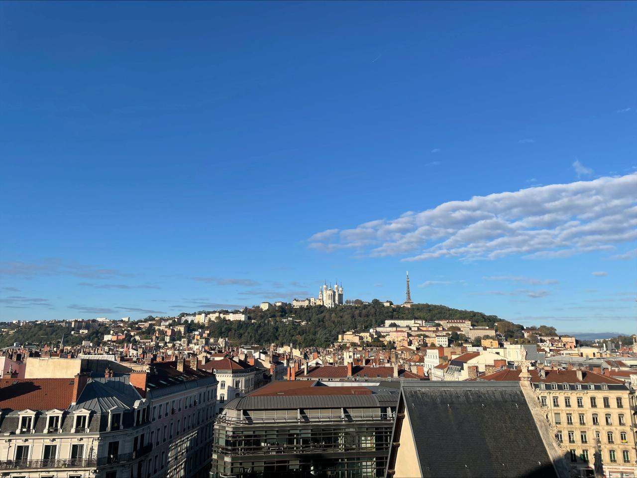 Location bureau Lyon Rhône OLBUR2311050 13