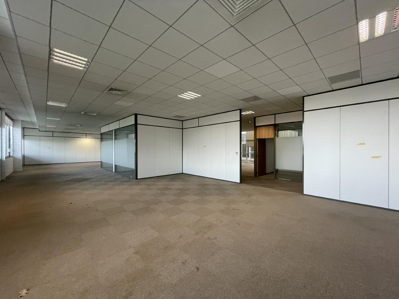 Location local d'activité Toulouse Haute-Garonne OLACT2207339 51