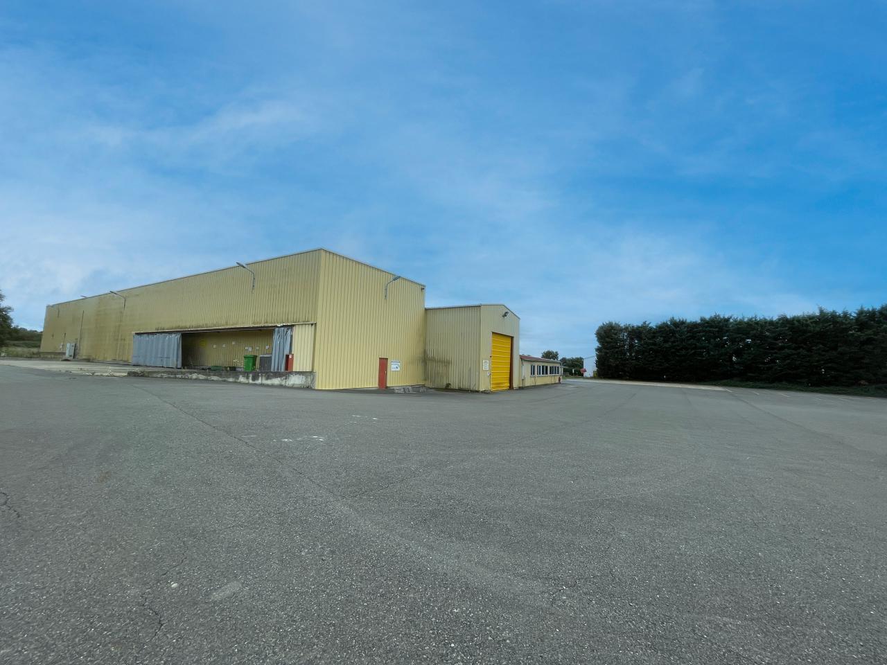 Vente local d'activité Saint-Trivier-sur-Moignans Ain OVACT2534885 12