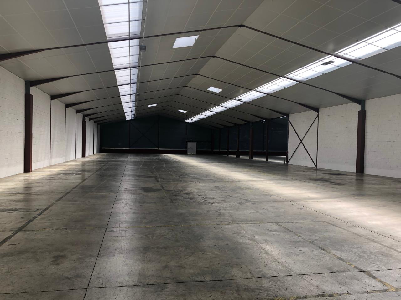 Location local d'activité Vern-sur-Seiche Ille-et-Vilaine OLACT2638453 3