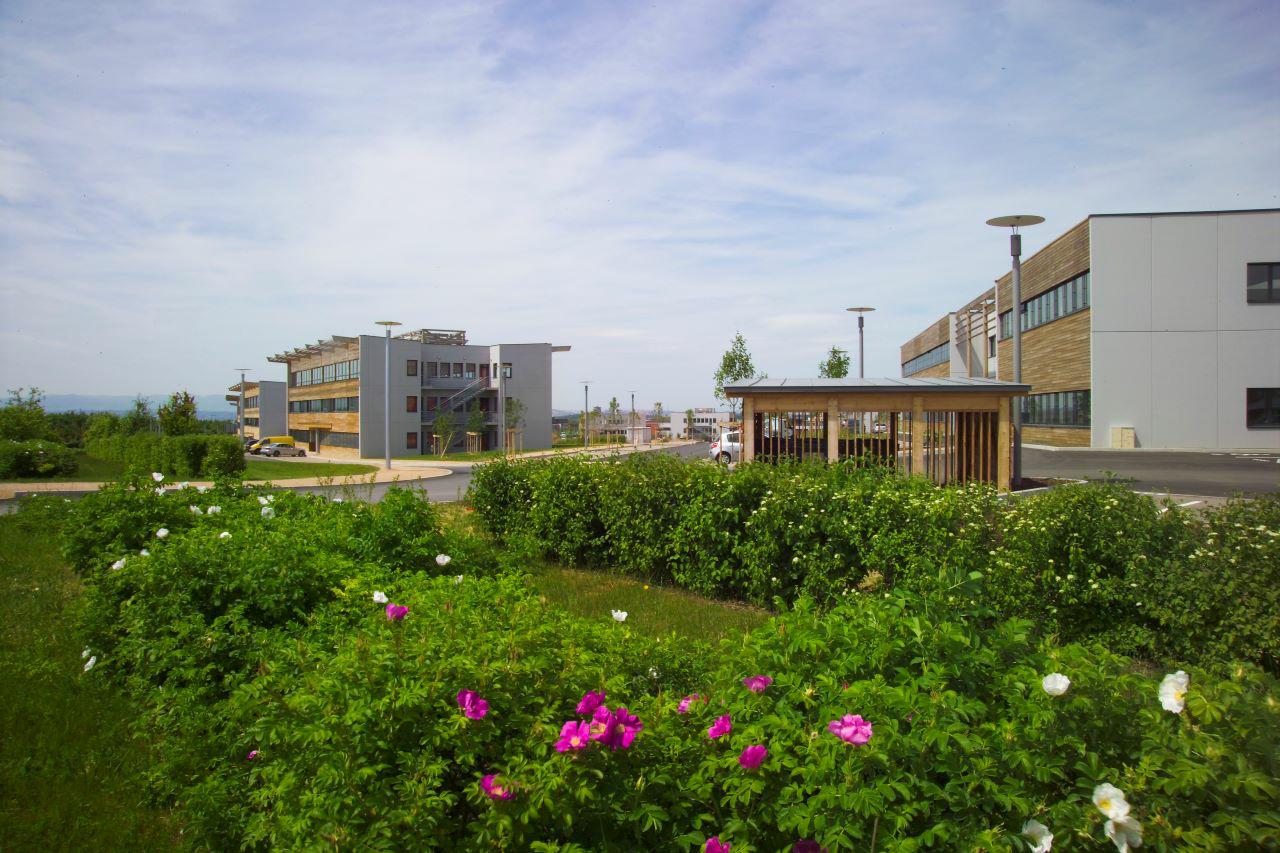 Location bureau Saint-Priest Rhône OLBUR2109023 1