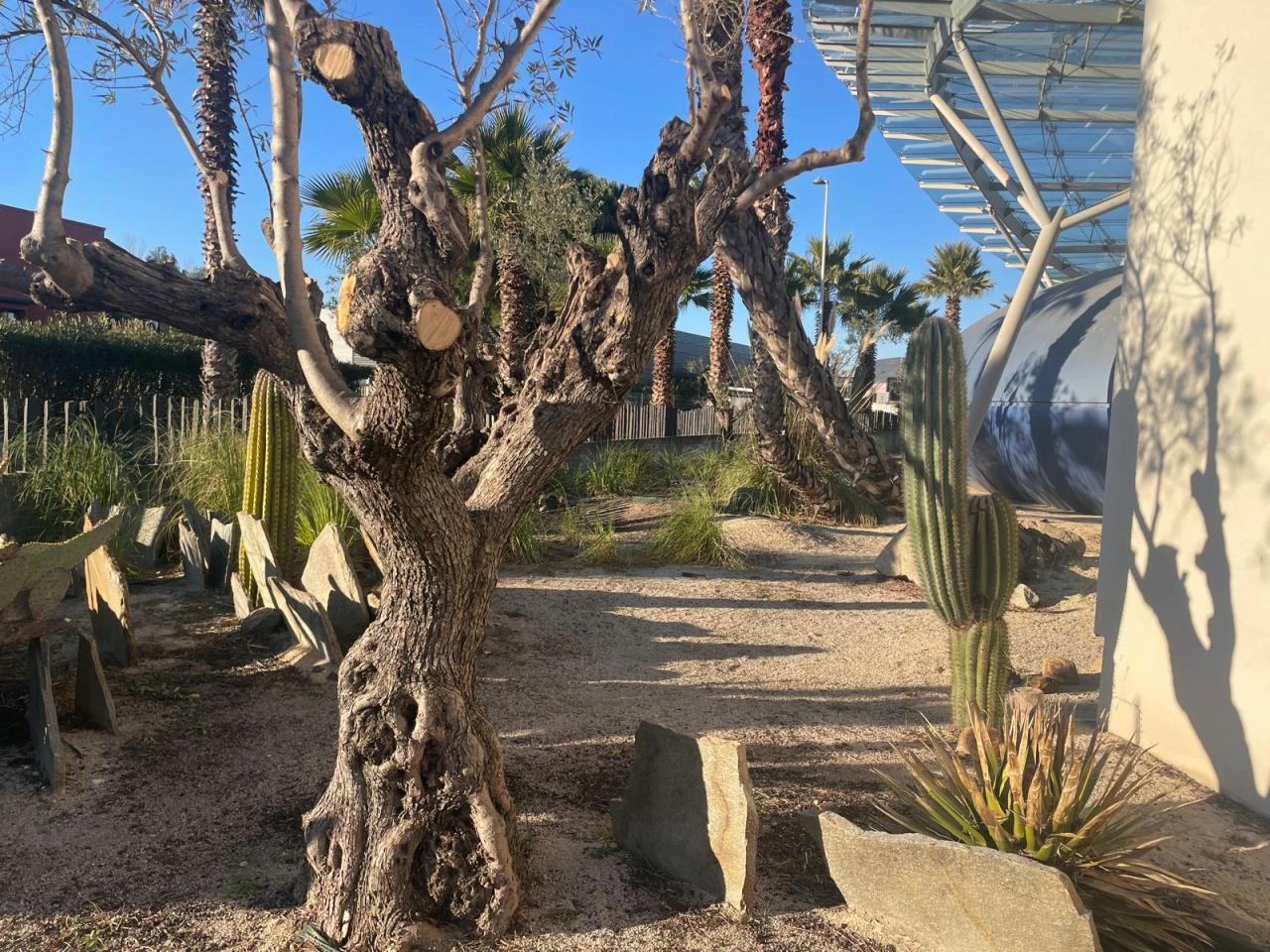 Location bureau Mauguio Hérault OLBUR2428433 8