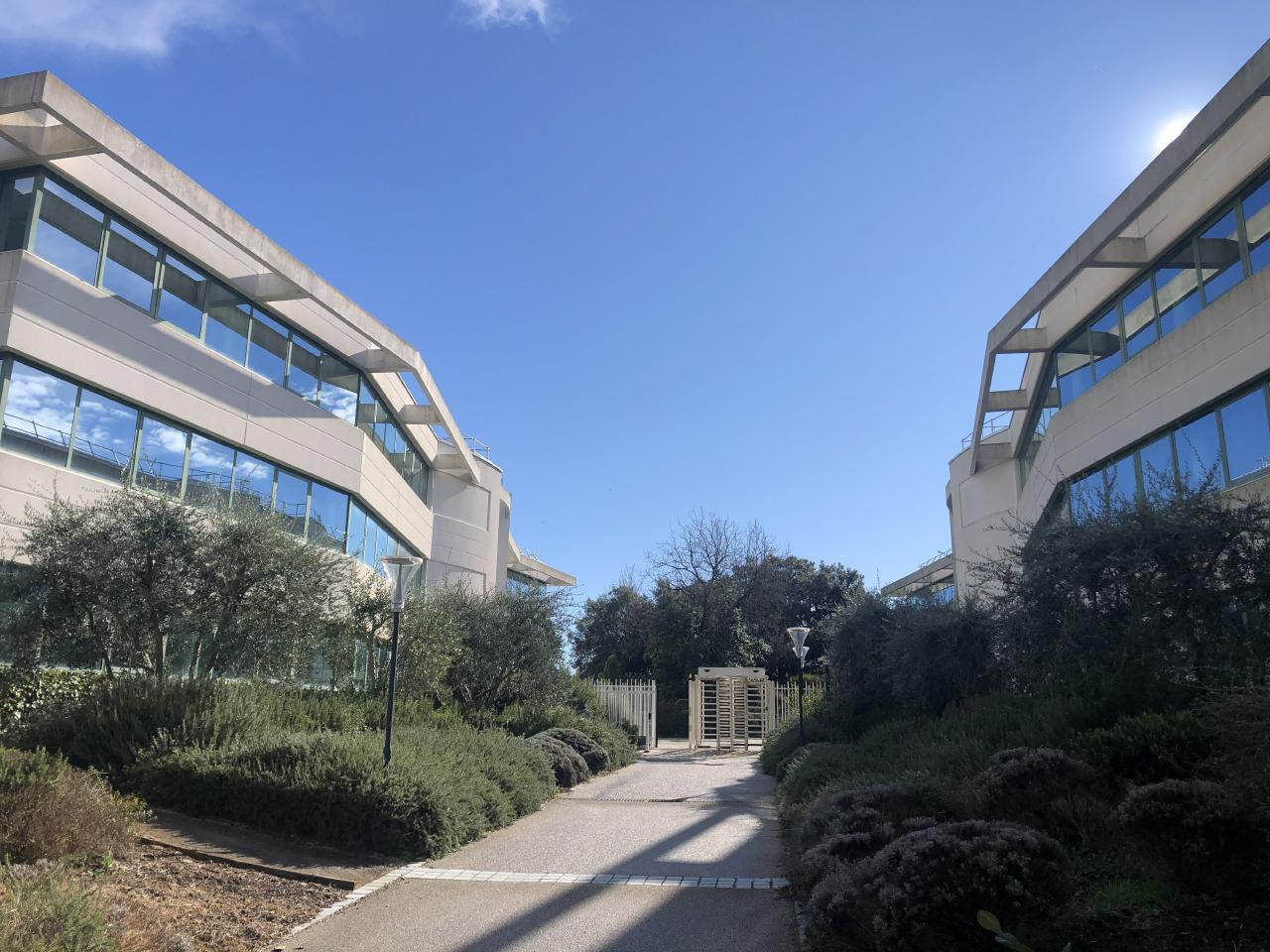 Location bureau Sophia Antipolis Alpes-Maritimes OLBUR2115419 1