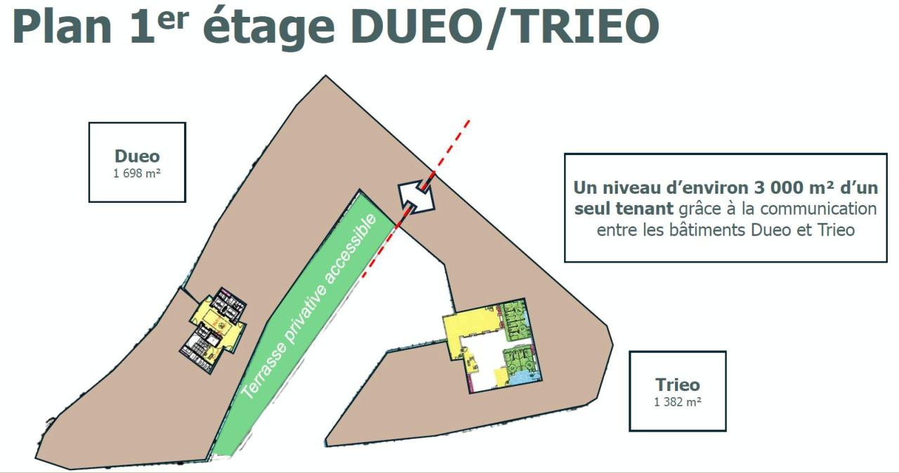 Location bureau Issy-les-Moulineaux Hauts-de-Seine OLBUR2100116 12