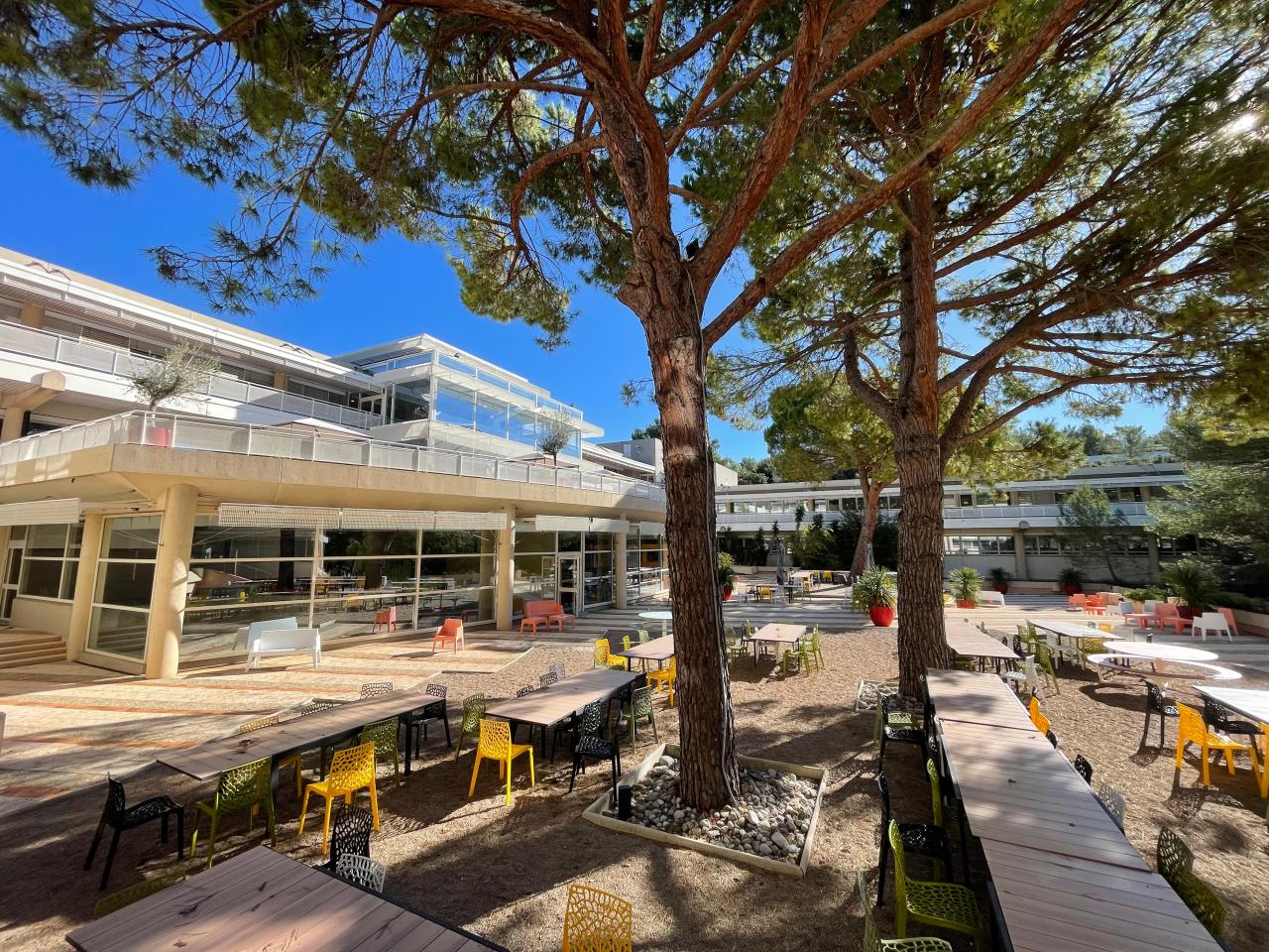 Location bureau Biot Alpes-Maritimes OLBUR2115395 16