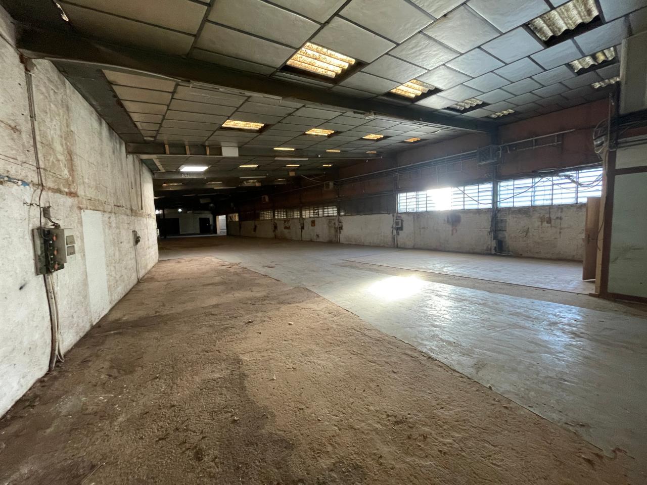 Location local d'activité La Trinité Alpes-Maritimes OLACT2533858 13