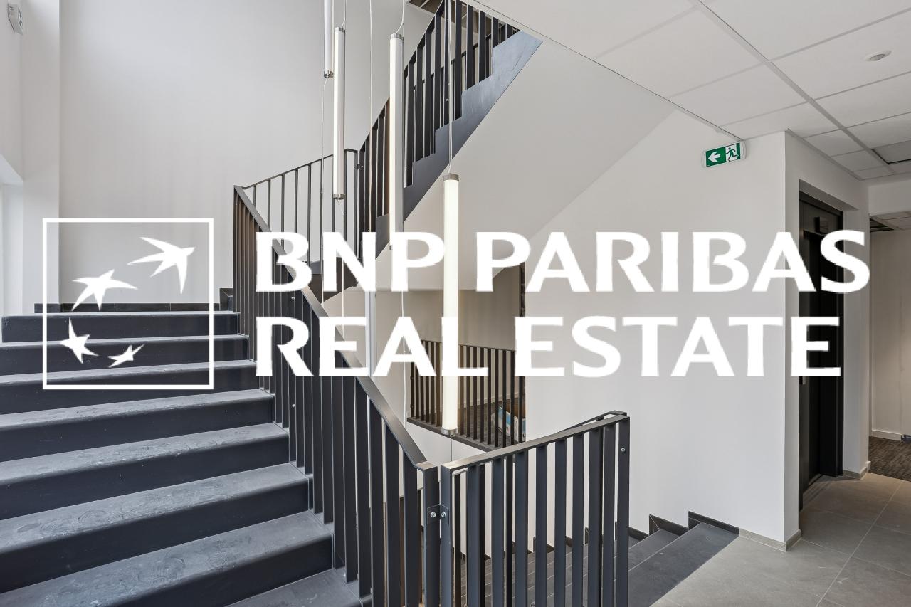 Location bureau OLBUR2313993 11