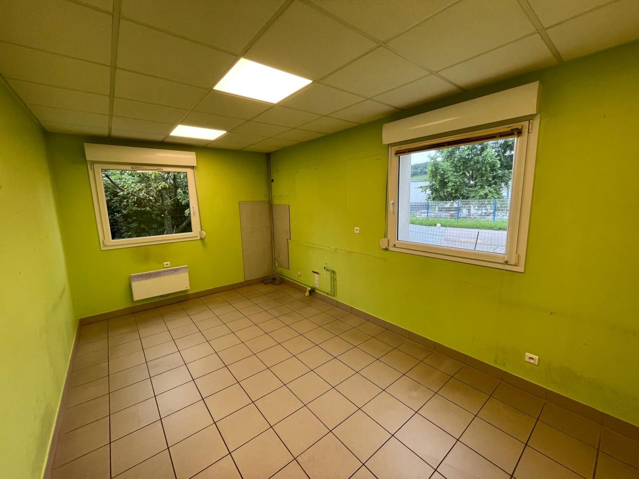 Location local d'activité Ludres Meurthe-et-Moselle OLACT2314140 9