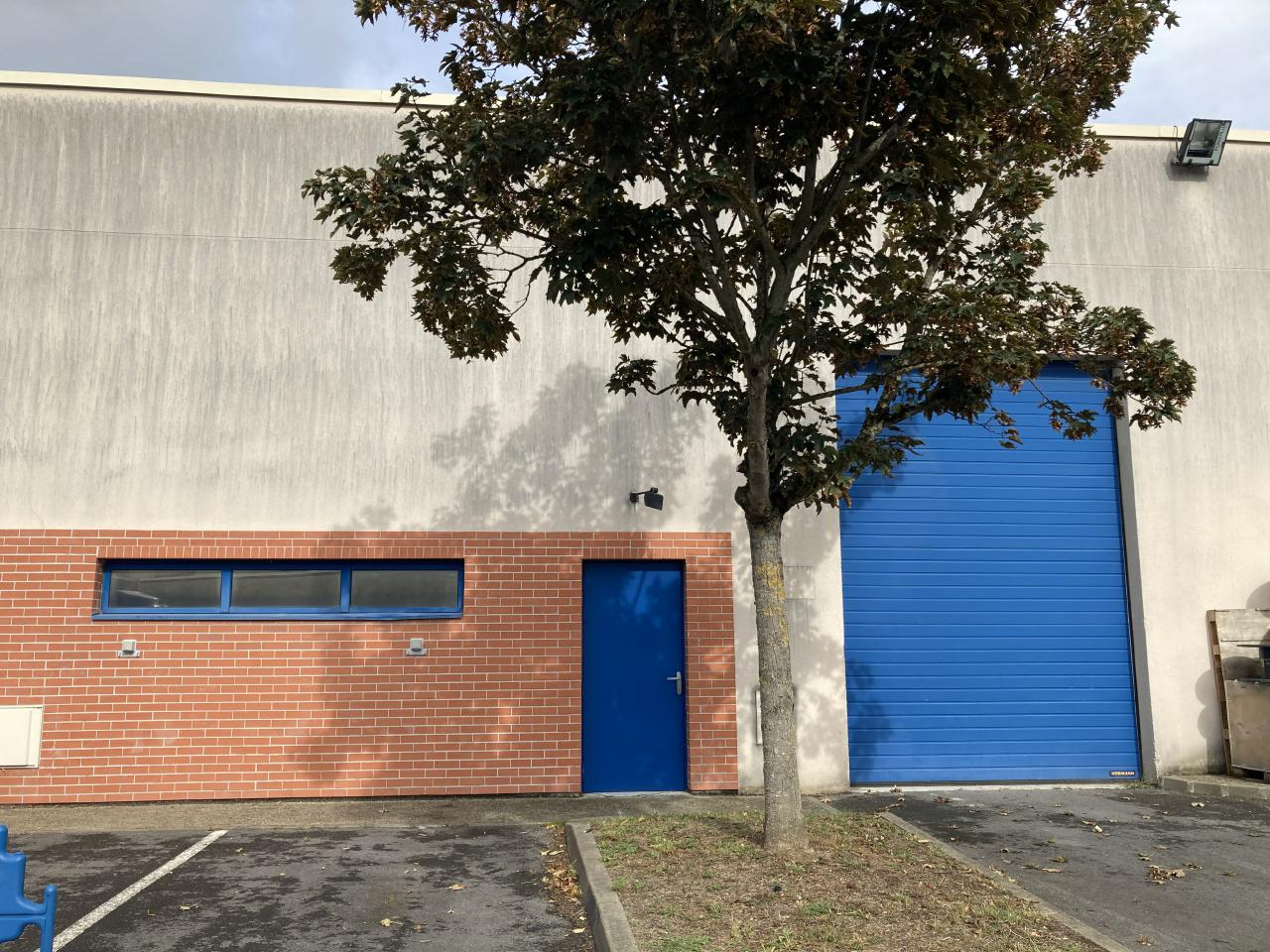 Location local d'activité Lieusaint Seine-et-Marne OLACT2425825