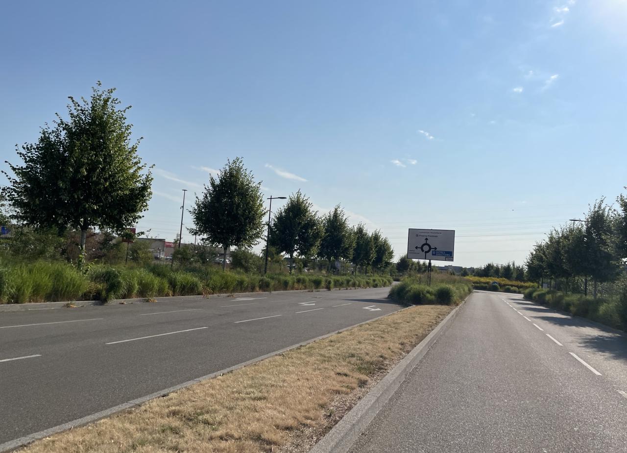 Location local d'activité Mundolsheim Bas-Rhin OLACT2424803 11