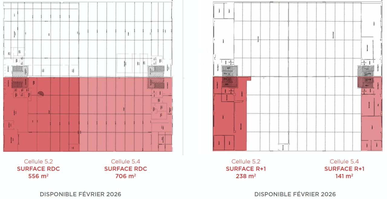 Location local d'activité Taverny Val-d'Oise OLACT2426793 7