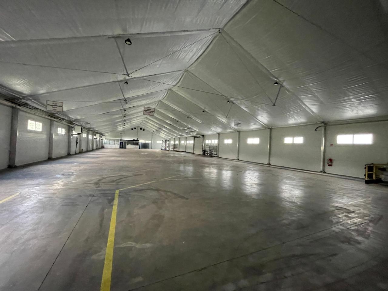 Vente local d'activité Dettwiller Bas-Rhin OVACT2536558 28