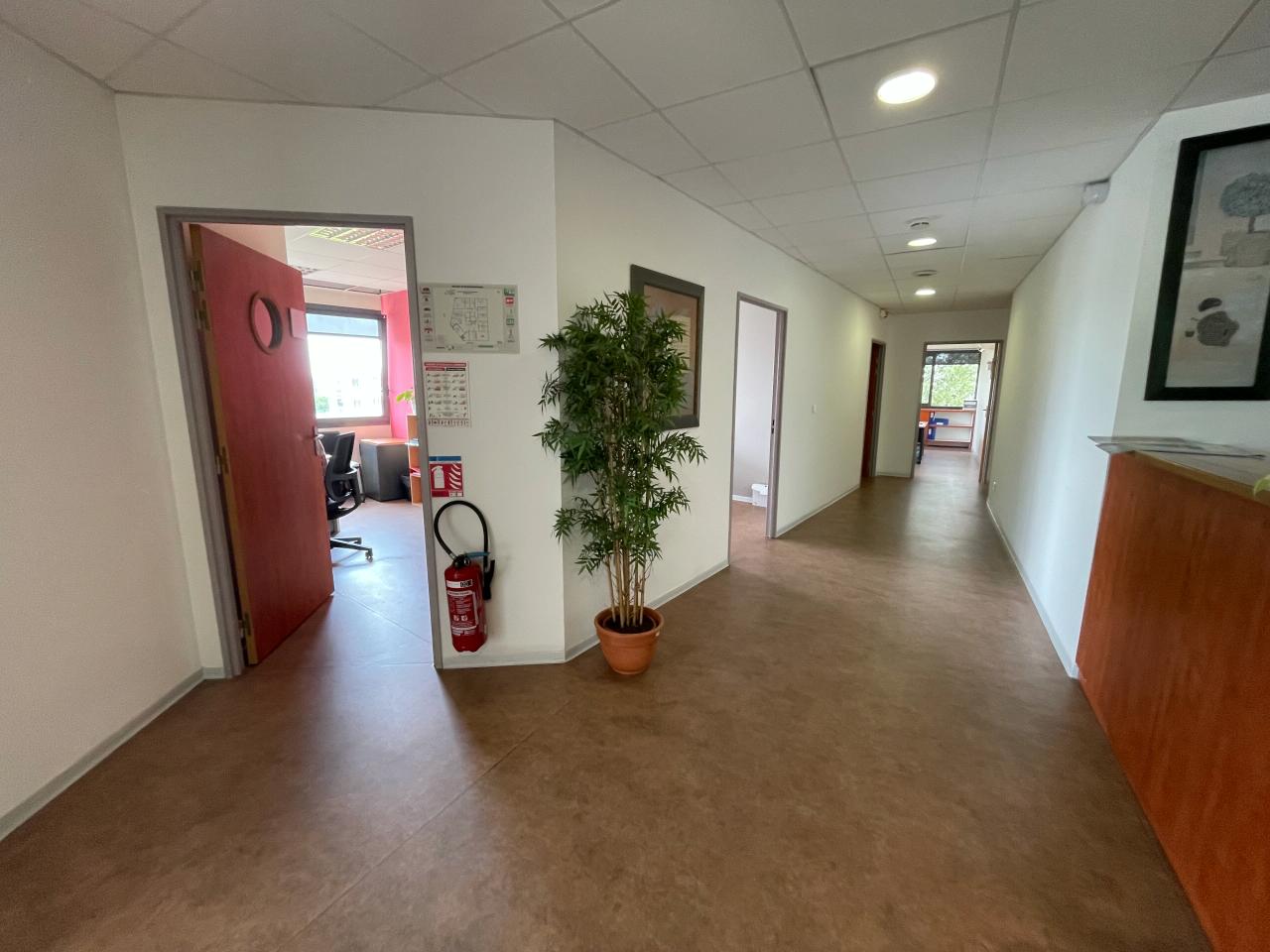 Location bureau Pérols Hérault OLBUR2532981 18