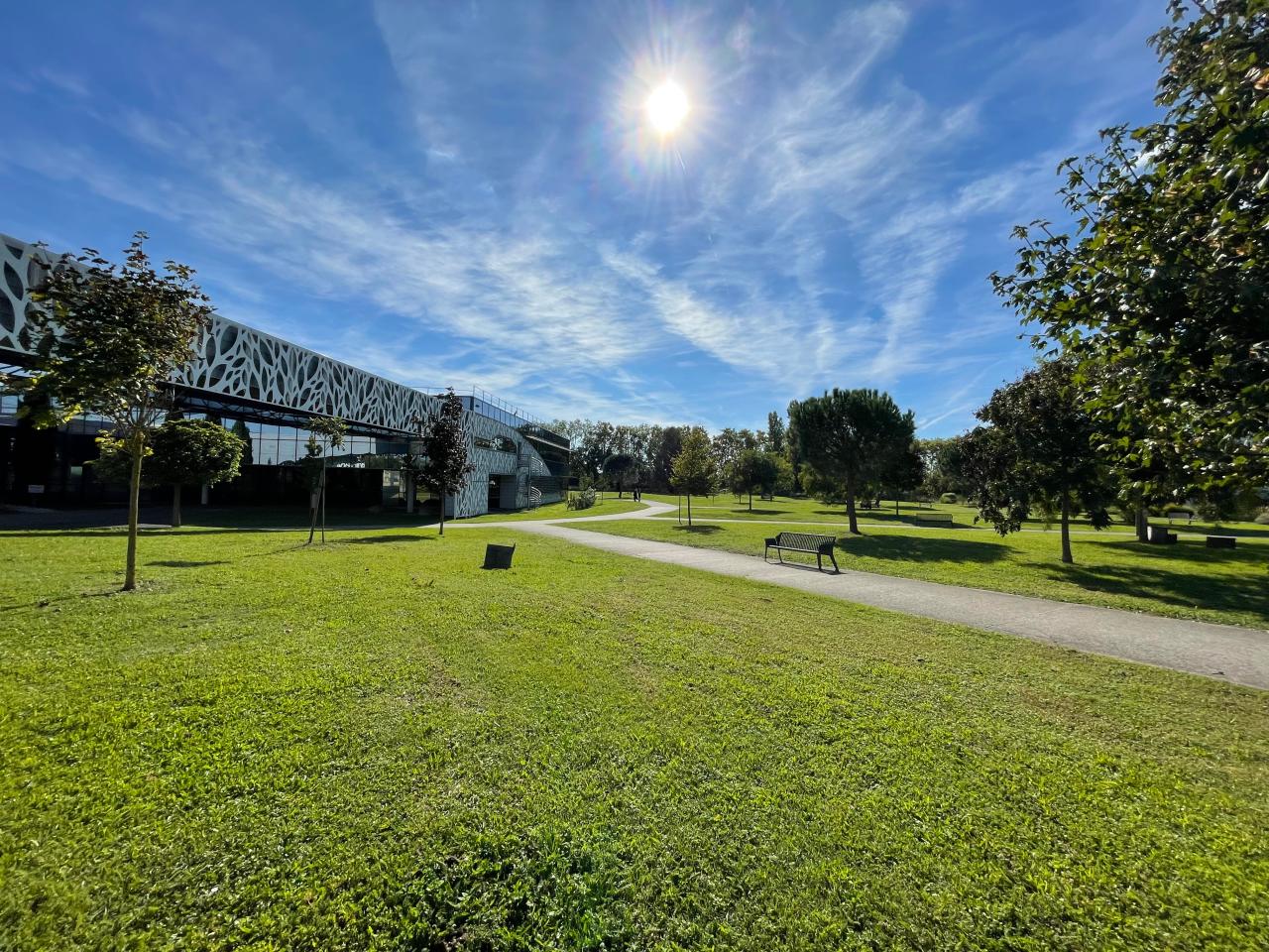 Location local d'activité Toulouse Haute-Garonne OLACT2207339 46