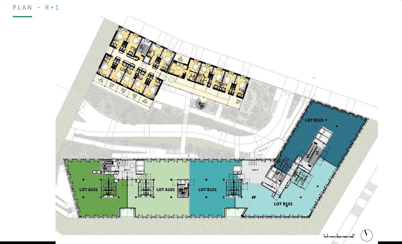 Location bureau Montpellier Hérault OLBUR2534172 8