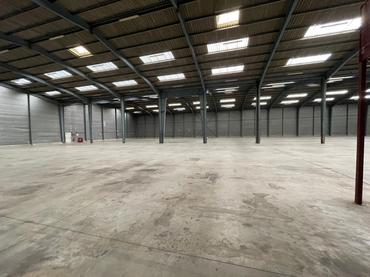 Location local d'activité Noyal-sur-Vilaine Ille-et-Vilaine OLACT2530446 11