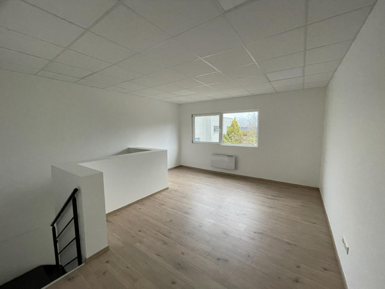 Location local d'activité Eckbolsheim Bas-Rhin OLACT2643996 5