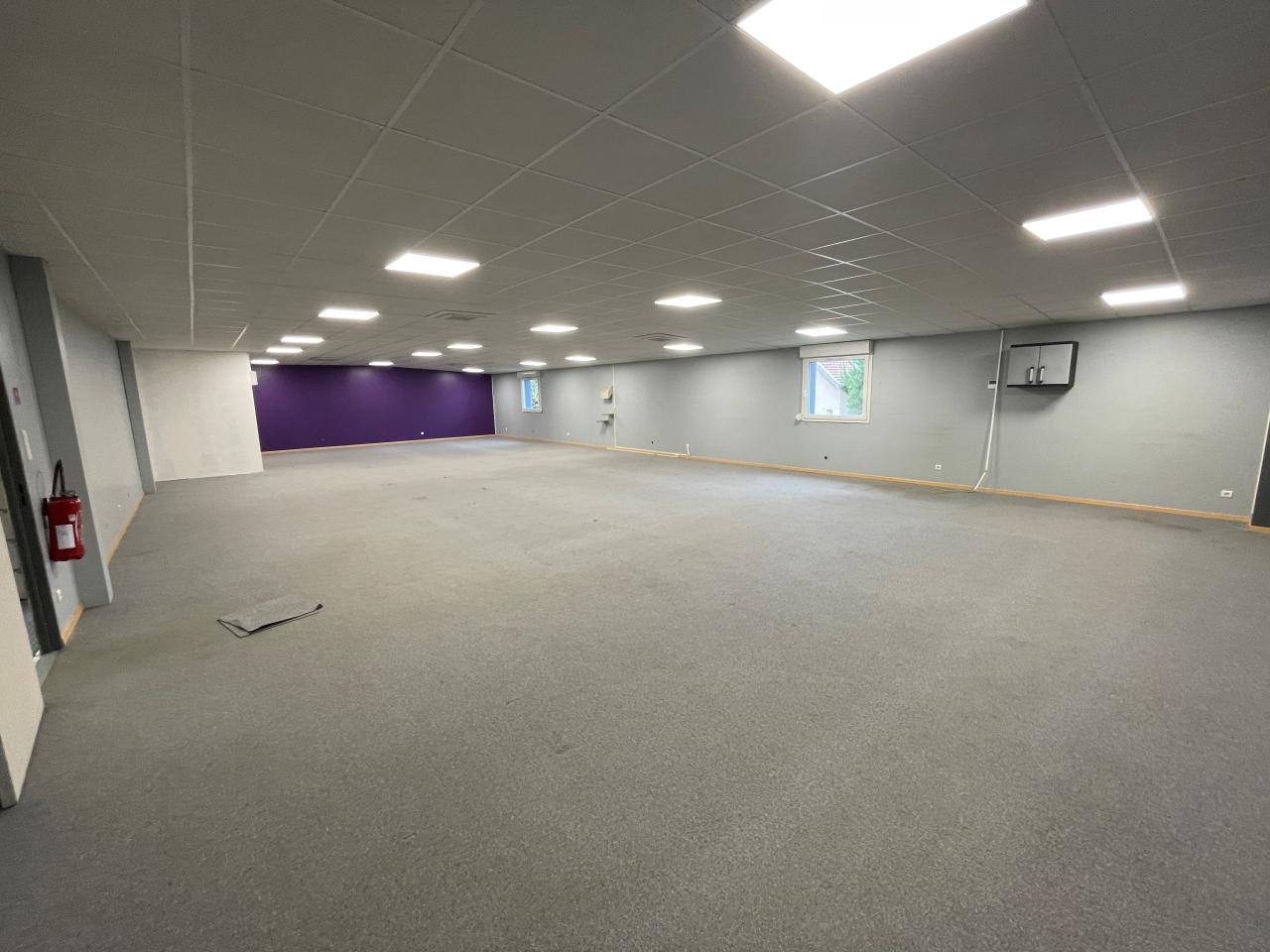 Location local d'activité Ludres Meurthe-et-Moselle OLACT2314140 19