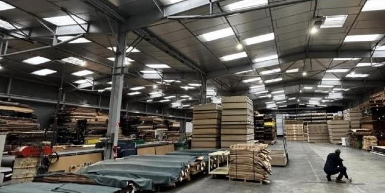 Location local d'activité Saint-Quentin-Fallavier Isère OLACT2533995 5