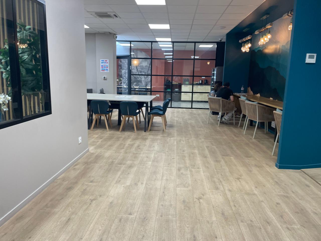 Location local d'activité Villeurbanne Rhône OLACT2535253 13