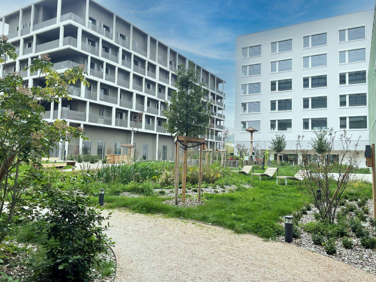 Location bureau Lyon Rhône OLBUR2110019 7