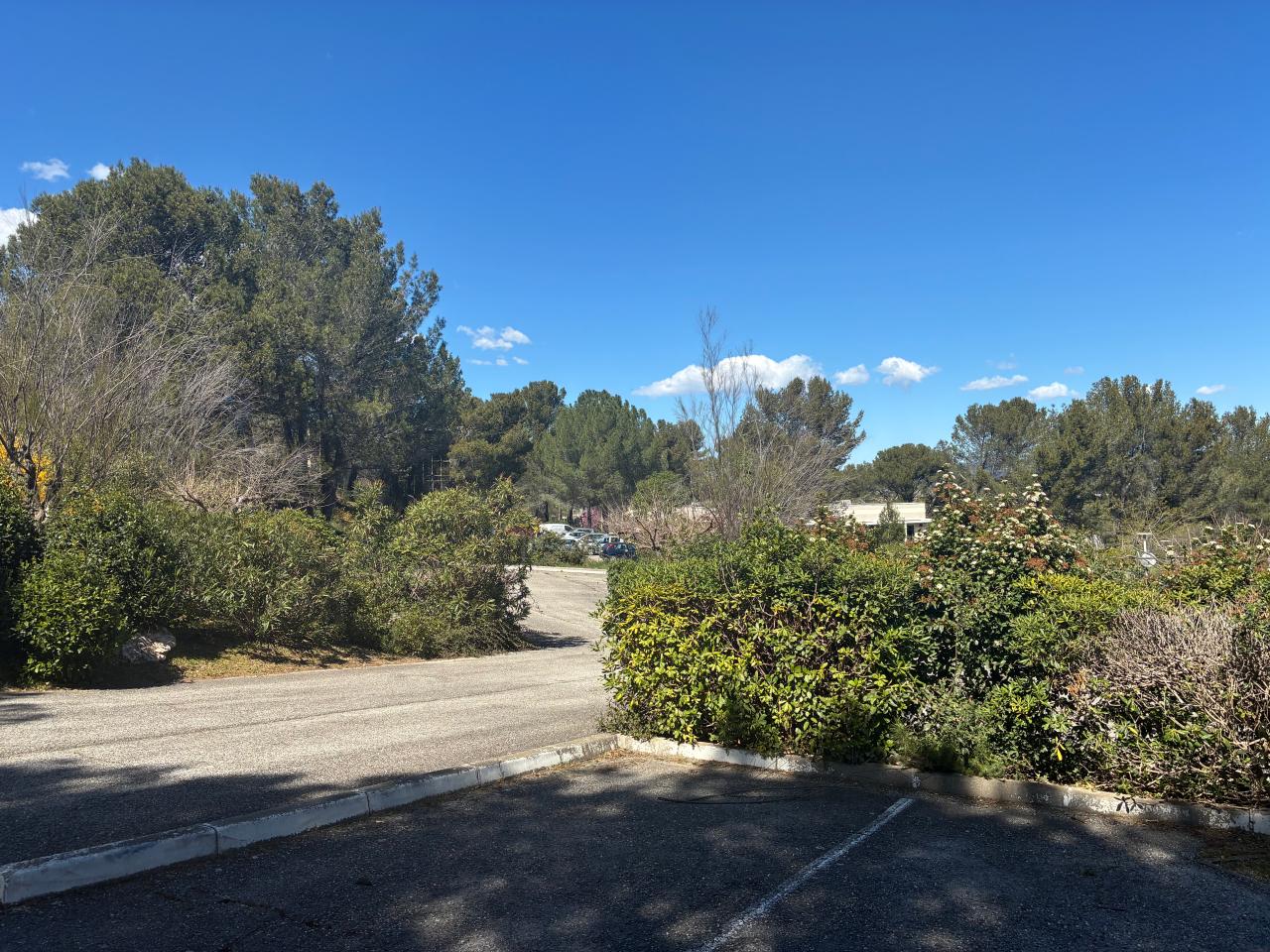 Location bureau Aix-en-Provence Bouches-du-Rhône OLBUR2309187 7