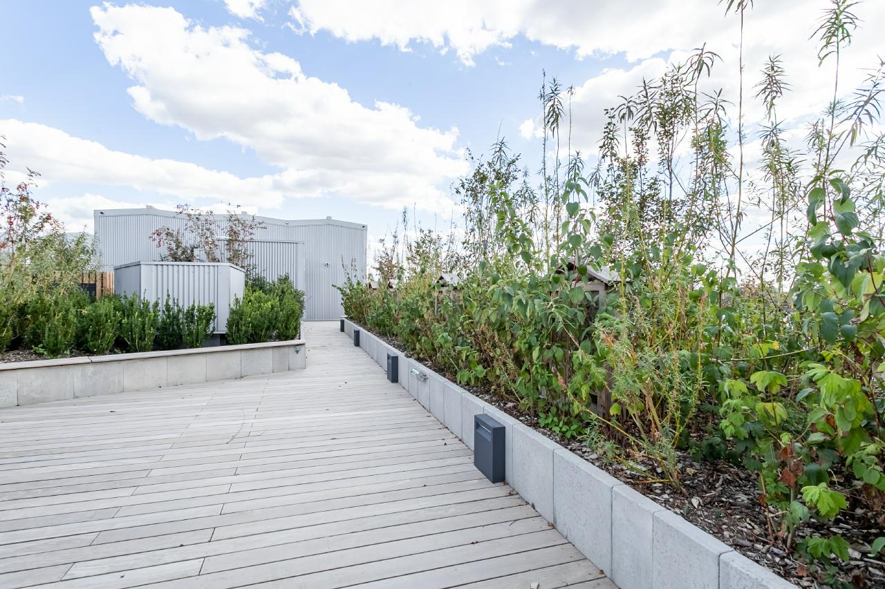 Location bureau La Plaine Saint-Denis Seine-Saint-Denis OLBUR2100311 18