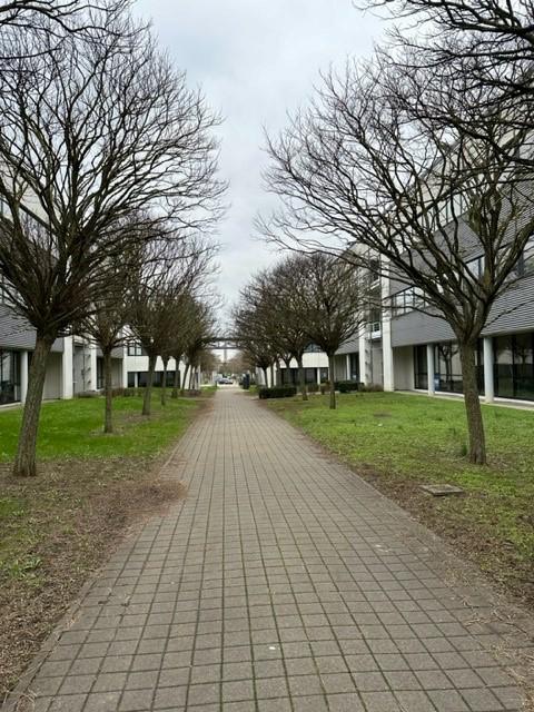 Location bureau Metz Moselle OLBUR2310179 13