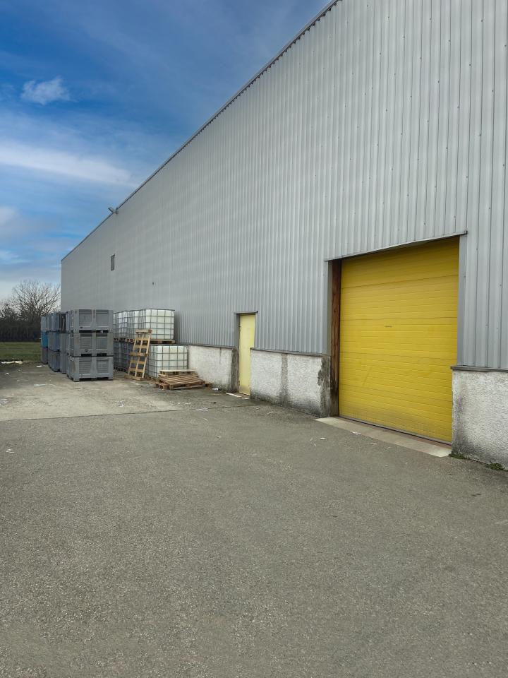 Location local d'activité Meyzieu Rhône OLACT2537944 3