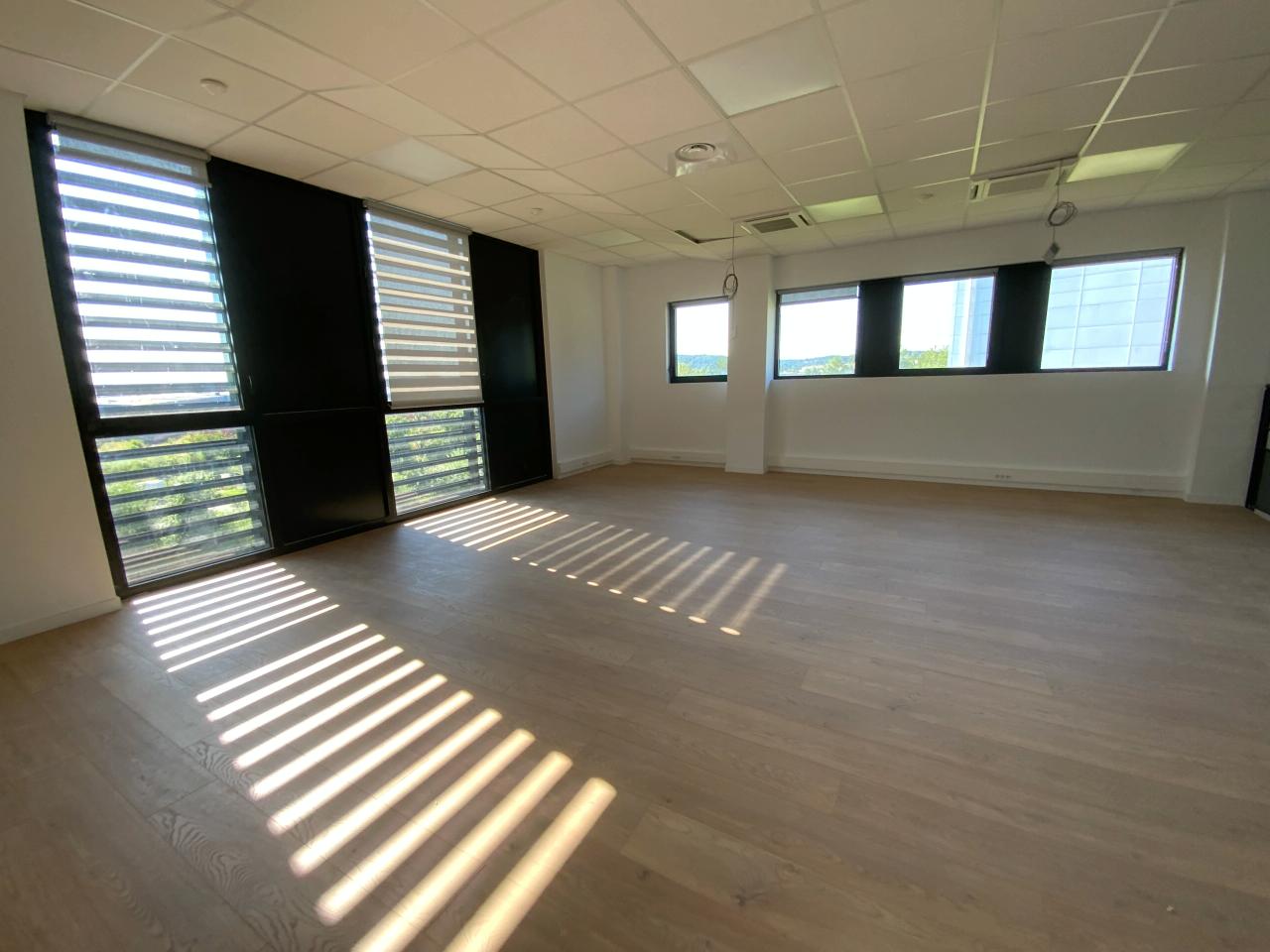 Location local d'activité Saint-Quentin-Fallavier Isère OLACT2203231 9