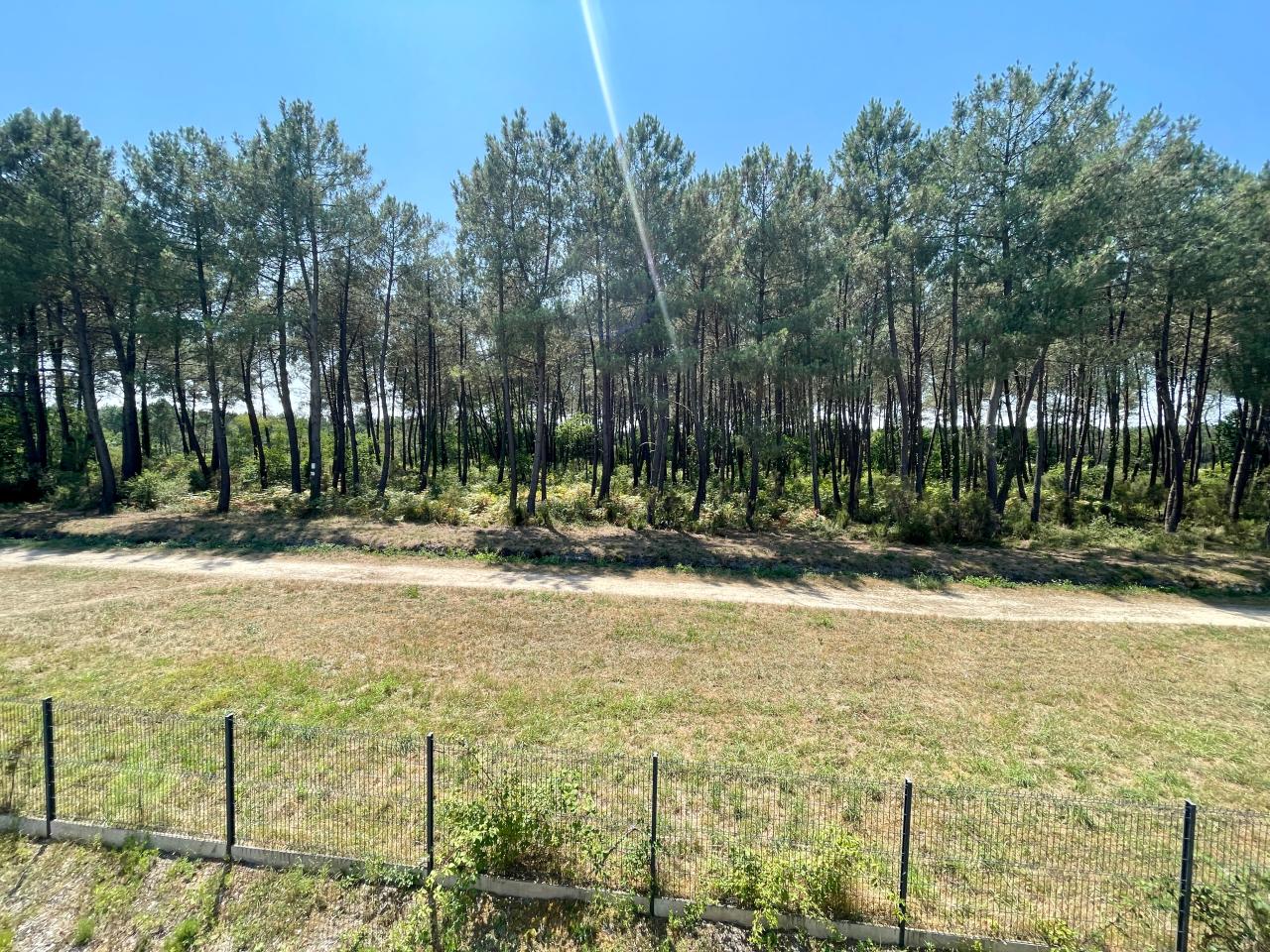 Location local d'activité Canéjan Gironde OLACT2643266 5