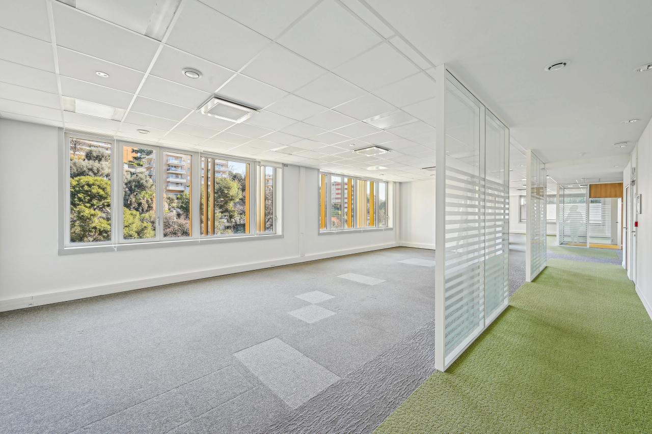 Location bureau Nice Alpes-Maritimes OLBUR2426844 13