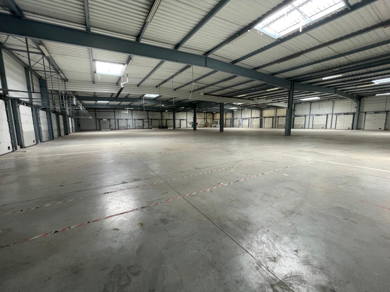Location local d'activité Mitry-Mory Seine-et-Marne OLACT2424003 7
