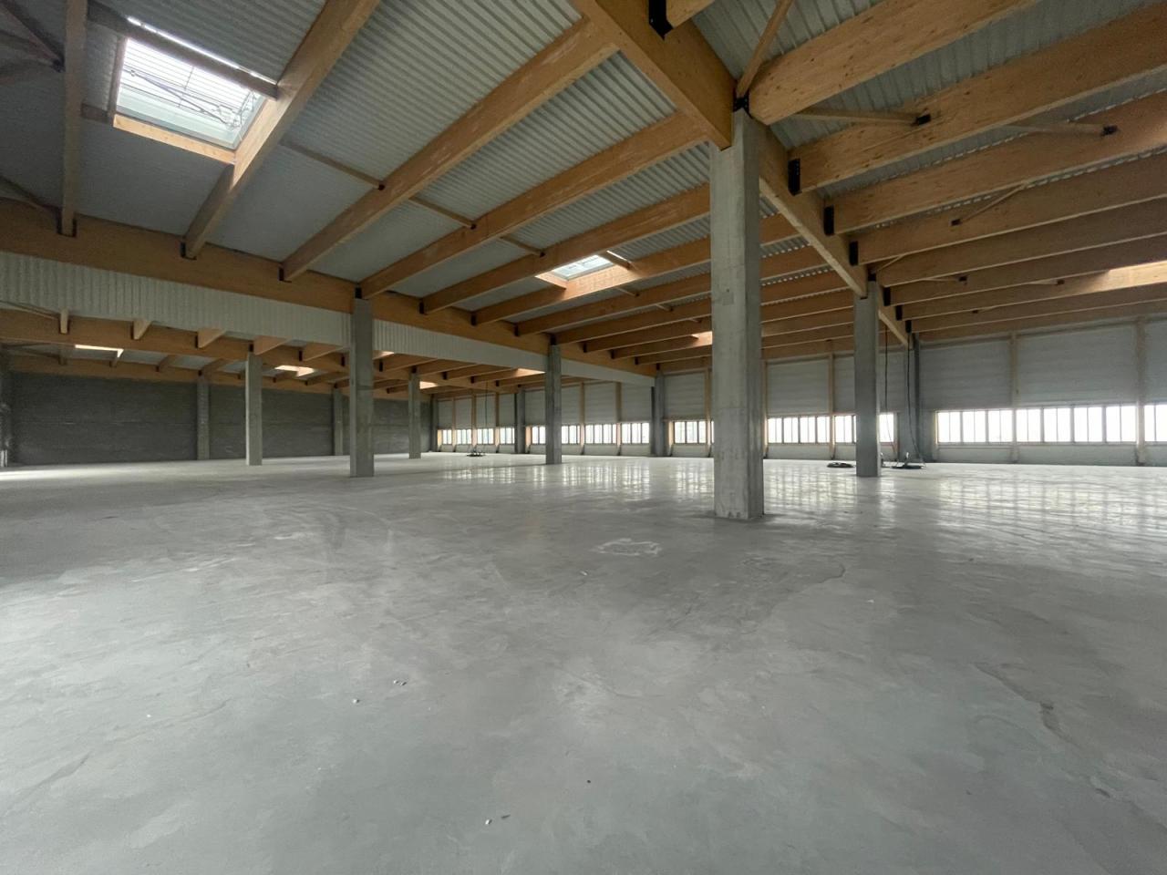 Location local d'activité Lezennes Nord OLACT2640284 11