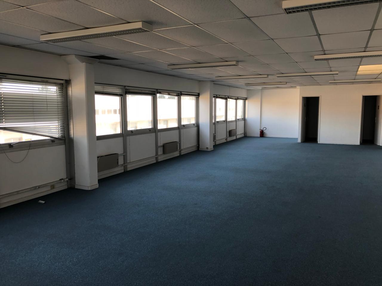 Location local d'activité Bondoufle Essonne OLACT2535951 4