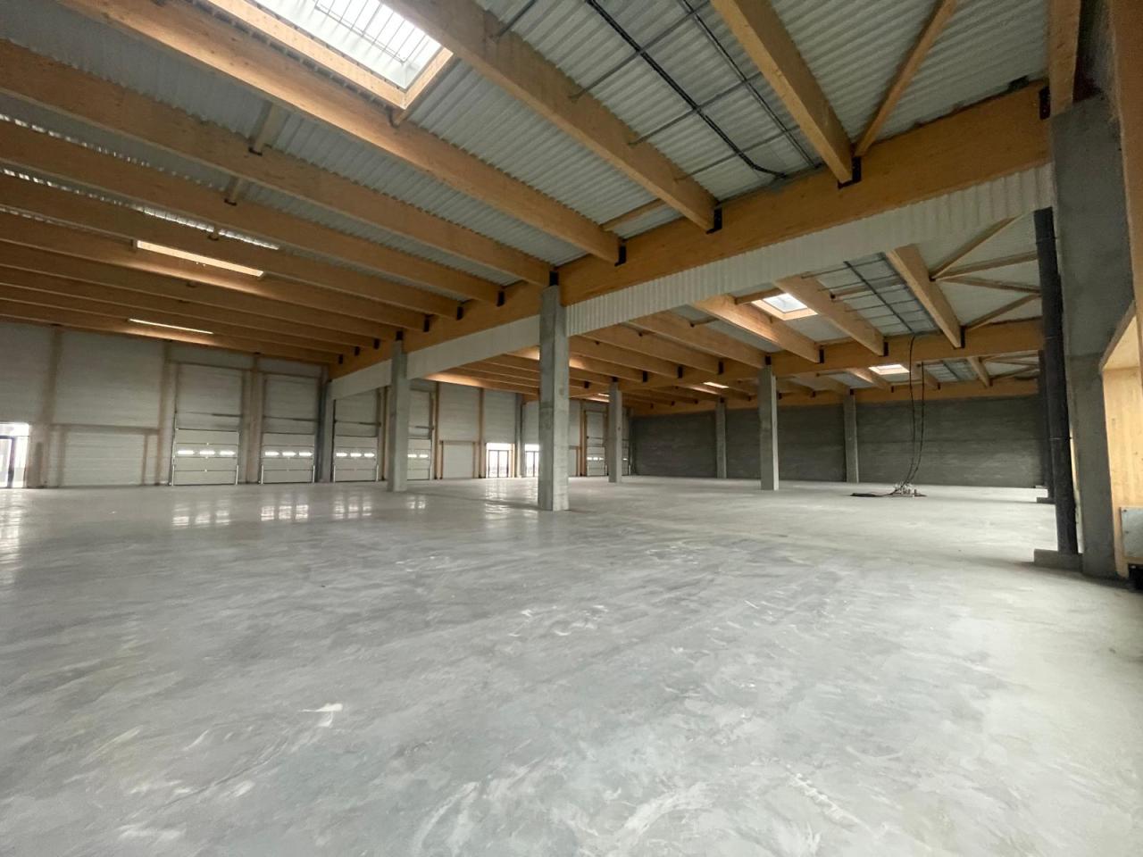 Location local d'activité Lezennes Nord OLACT2640284 12