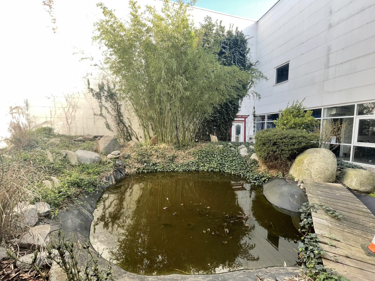 Location bureau Eckbolsheim Bas-Rhin OLBUR2420504 11