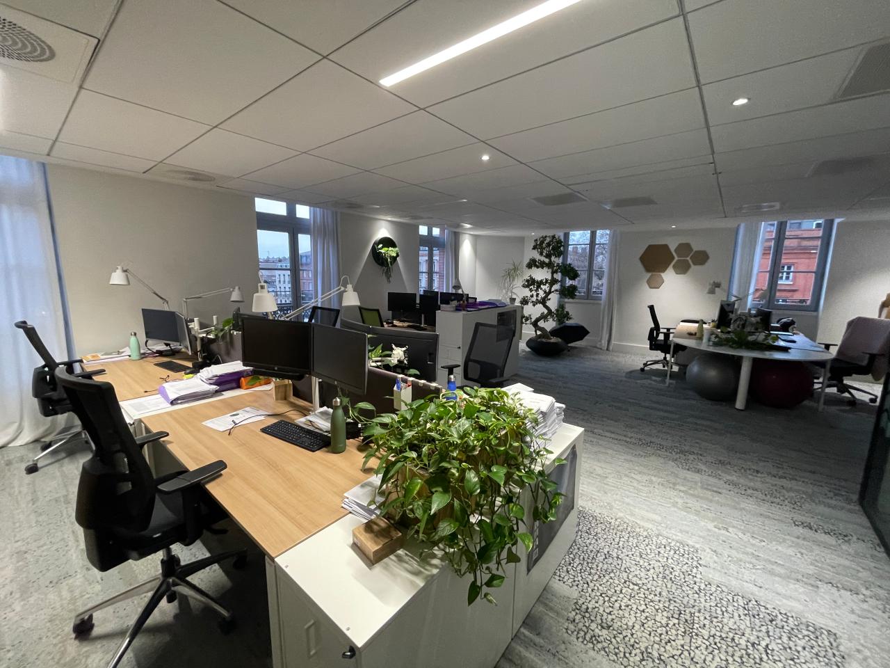 Location bureau Toulouse Haute-Garonne OLBUR2537873 12