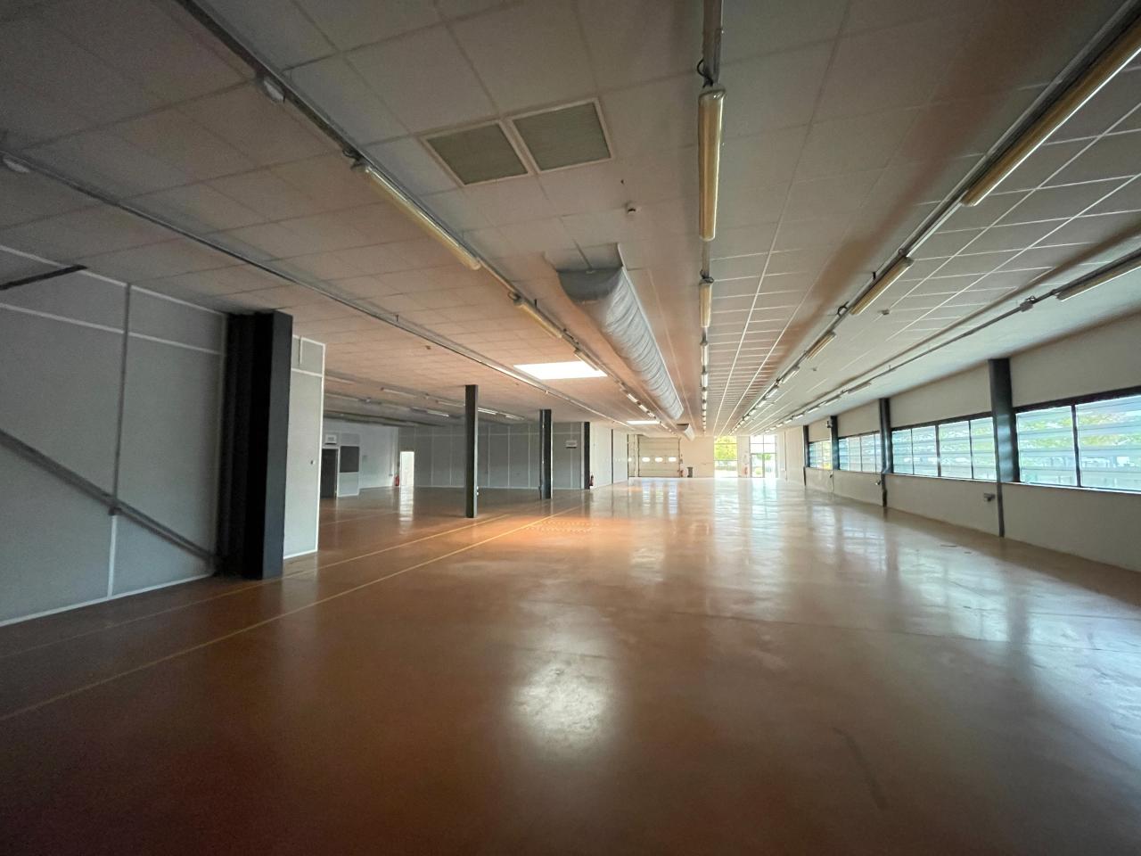 Location local d'activité Colomiers Haute-Garonne OLACT2314340 16