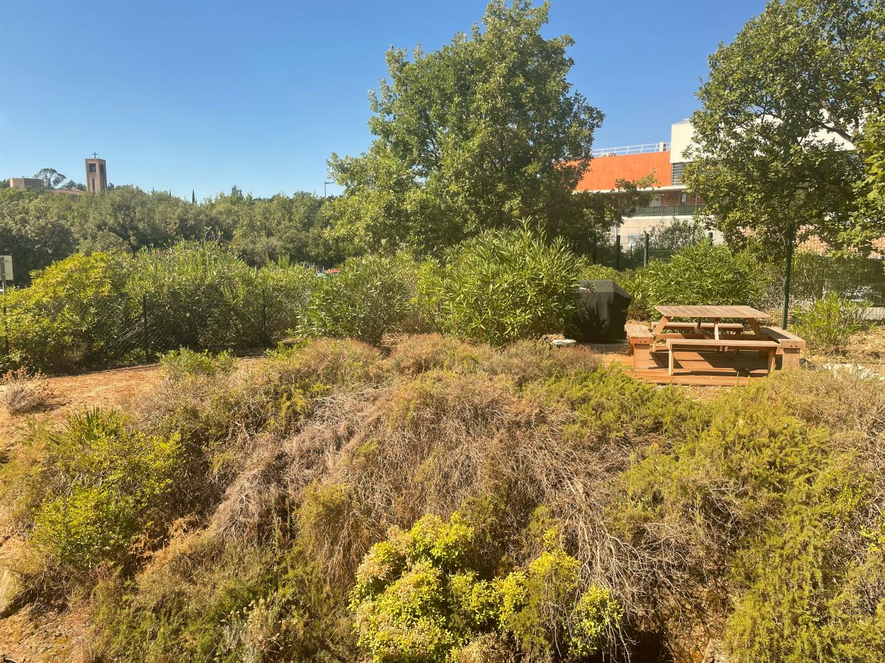 Location bureau Sophia Antipolis Alpes-Maritimes OLBUR2424571 5