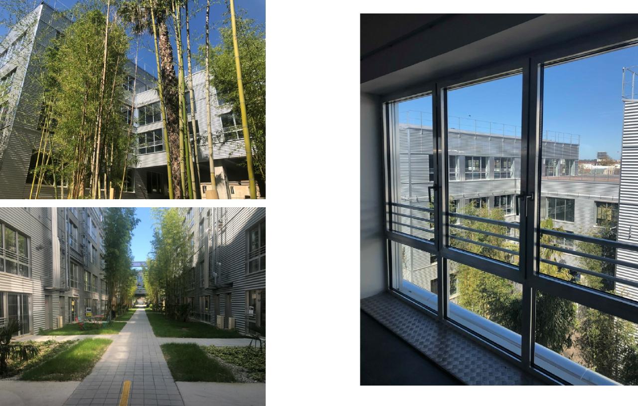 Location bureau Bègles Gironde OLBUR2002403 14