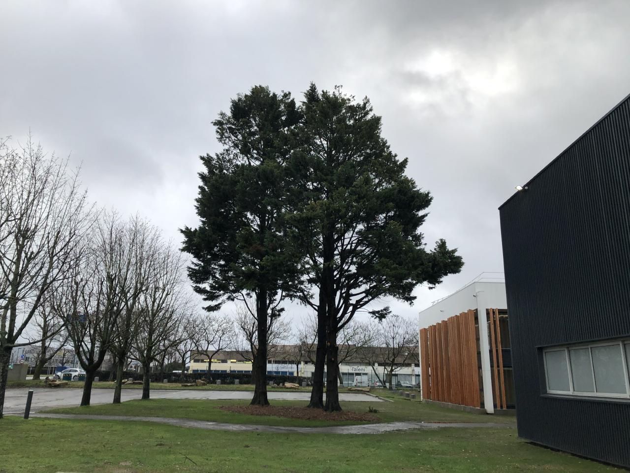 Location local d'activité Saint-Ouen-l'Aumône Val-d'Oise OLACT2531916 5