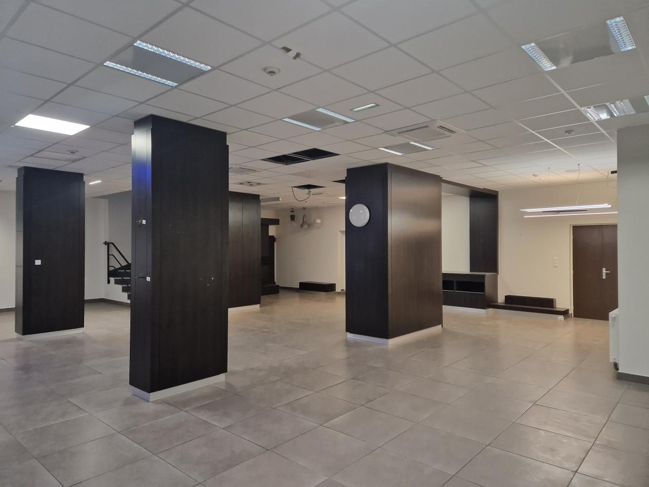 Location local d'activité Strasbourg Bas-Rhin OLACT2535002 8