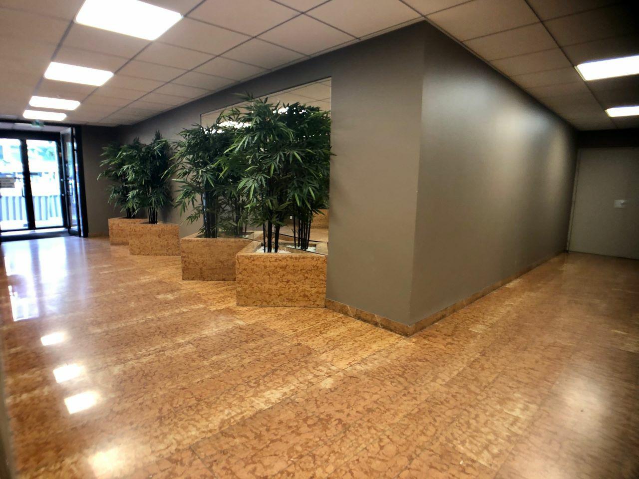 Location bureau Lyon Rhône OLBUR2108983 6