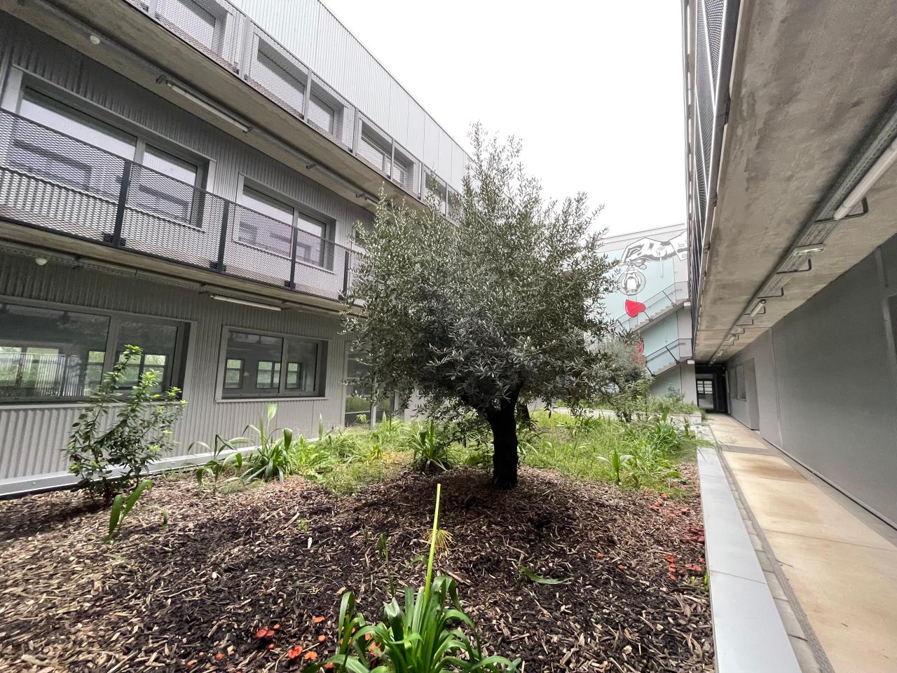 Location bureau Montpellier Hérault OLBUR2115374 9